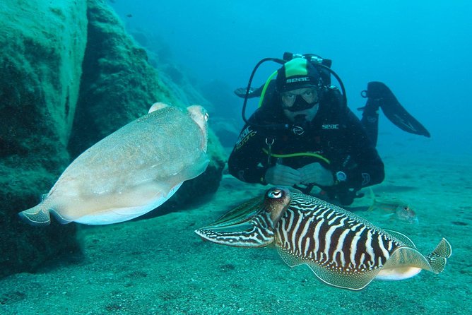 Single Dive for qualified divers from shore, region Puerto del Carmen. - The 9:00 am start and the 2-hour rhythm