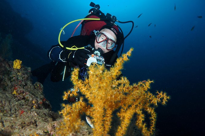Single Dive for qualified divers from shore, region Puerto del Carmen. - Briefings that help you spot more than you’d expect