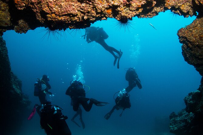 Single Scuba Try-Dive in Puerto del Carmen - small groups - 2 hours - Who This Try-Scuba Session Is Perfect For (And Who It’s Not)