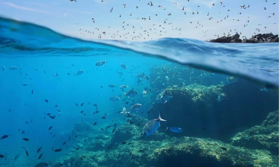Sithonia: Scuba Diving Experience for Beginners - Price and value: why $87 feels fair for what you get