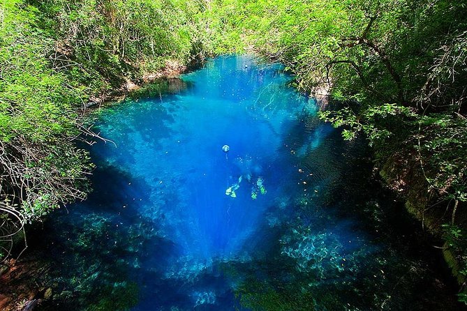 Skip the Line: Lagoa Misteriosa Admission Ticket with Scuba Diving Experience - Lagoa Misteriosa: A Sinkhole Lake With an Underwater Blue Abyss