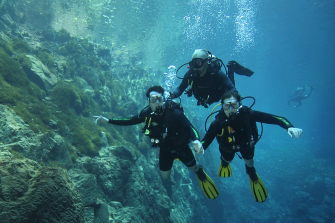 Skip the Line: Lagoa Misteriosa Admission Ticket with Scuba Diving Experience - The Scenery Underwater: Trees, Leaves, and Blue Light