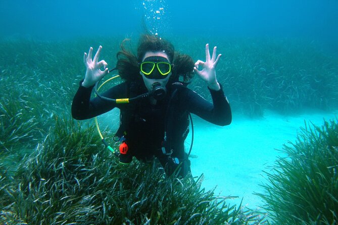 Small Group Diving Adventure in Menorca - Getting to Escuela de Buceo SCUBA Plus in Cala en Blanes