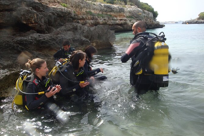 Small Group Diving Adventure in Menorca - Who this SCUBA session suits best