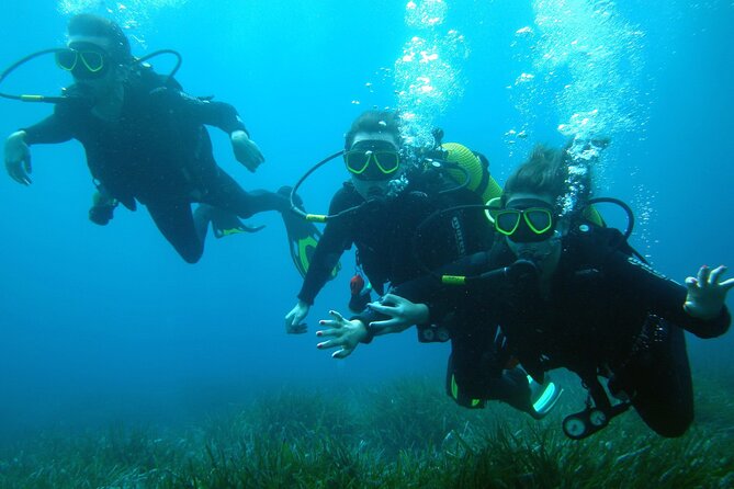 Small Group Diving Adventure in Menorca - Private transport and a cove choice that follows the weather