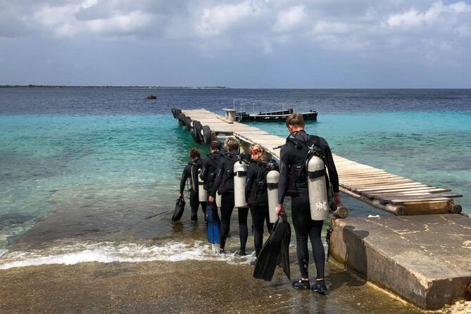 Small Group Diving experience in Caribbean - Pickup and the “day camp” truck ride out of town