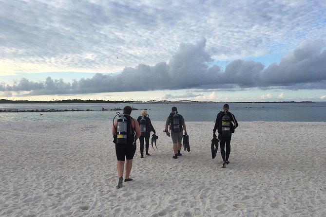 Small Group Guided Shore Dives in St. Andrews State Park, Florida - St. Andrews Jetty Wall: The Calm Version of Open-Water Scuba