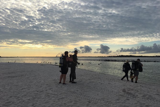 Small Group Guided Shore Dives in St. Andrews State Park, Florida - How Depth, Time, and Visibility Get Decided on the Day