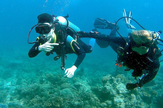 Small-Group Introductory Scuba Diving in Pula - Price and Value in Pula: Is It Worth $102?