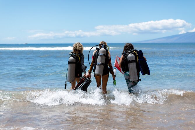 Small-Group Shark and Turtle Dive for Certified Divers - What you’ll see: honu turtles, white-tip reef sharks, and the critter list