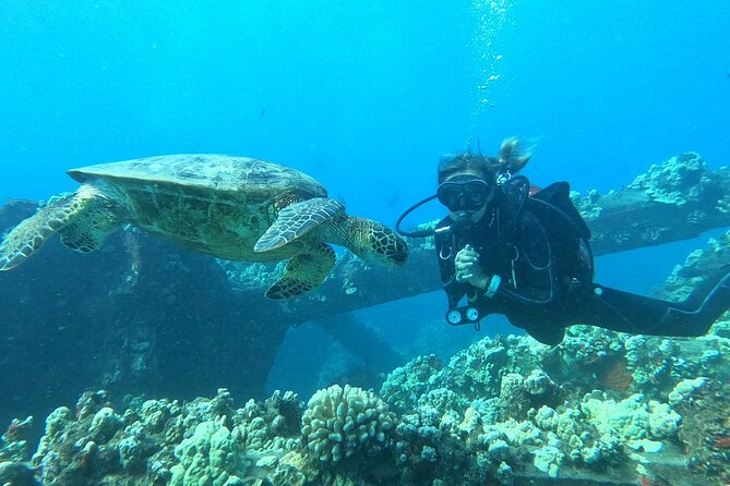 Small-Group Shark and Turtle Dive for Certified Divers - Price and value: what $135.80 buys you on Maui