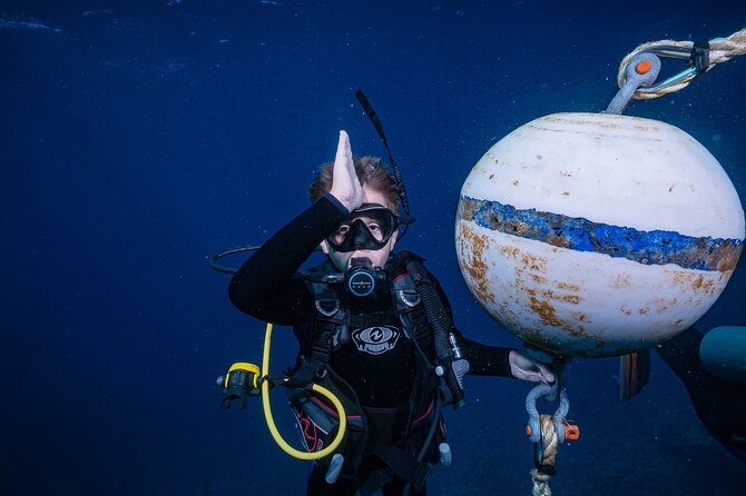 Small-Group Shark and Turtle Dive for Certified Divers - Your morning flow: Lahaina meet-up, gear check, and a short, focused schedule
