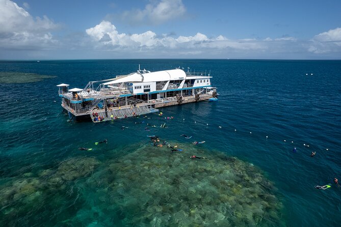 Snorkel & Dive the Reef: Sustainable, Scientific & Cultural Tour - Key highlights worth clocking