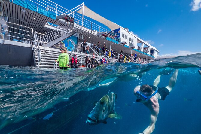 Snorkel & Dive the Reef: Sustainable, Scientific & Cultural Tour - Snorkeling the reef: what you’ll actually be doing