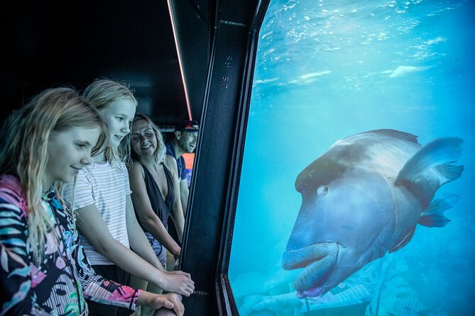 Snorkel & Dive the Reef: Sustainable, Scientific & Cultural Tour - Food, drinks, and the small comforts that save your day