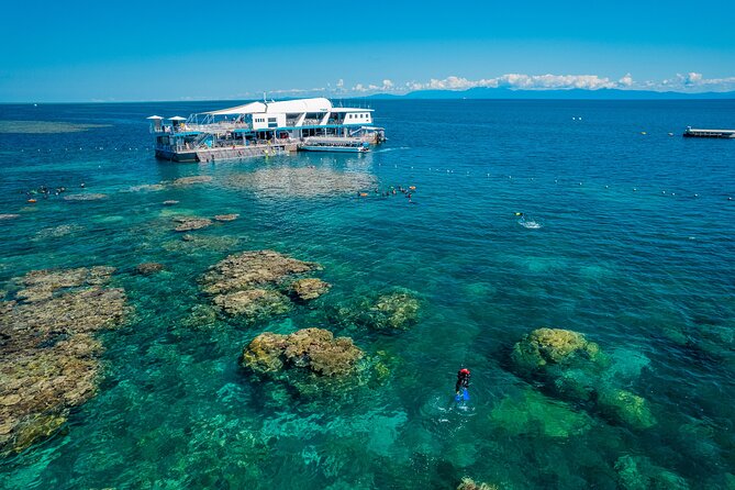 Snorkel & Dive the Reef: Sustainable, Scientific & Cultural Tour - What Marine World feels like once you arrive