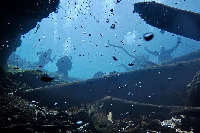 Snorkel Or Dive The Amazing Rainbow River Florida - The boat ride through the area: views, stories, and wildlife odds