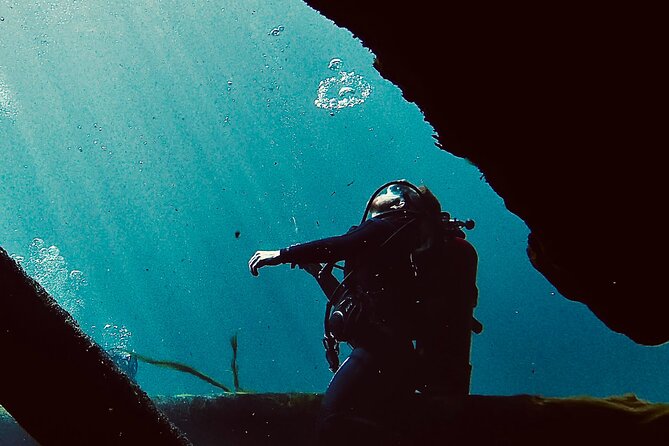 Snorkel Or Dive The Amazing Rainbow River Florida - Price and extras: what $75 really buys you