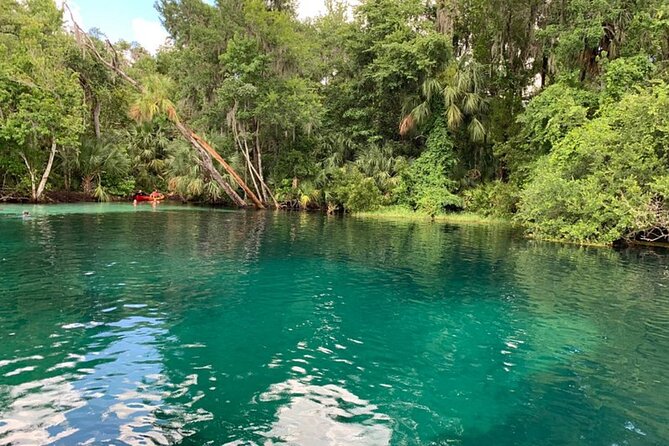 Snorkel Or Dive The Amazing Rainbow River Florida - Who should book this trip, and who might skip it
