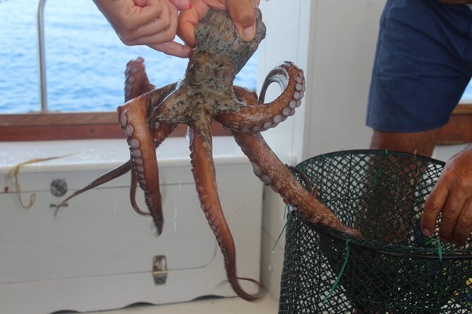Snorkeling and Diving in the Gulf of Tavolara with Fishing - Why the Gulf of Tavolara Boat Day Feels Different