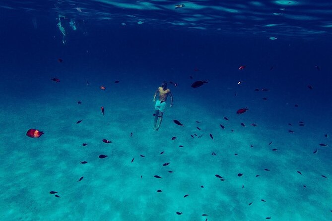Snorkeling and Diving in the Gulf of Tavolara with Fishing - The Underwater Time: Molara and the Coves Where You’ll Actually Float