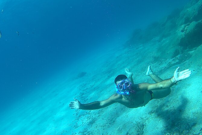 Snorkeling and Diving in the Gulf of Tavolara with Fishing - Lunch on Board: Fresh Catch Seafood, Wine, and Vegetarian Pasta