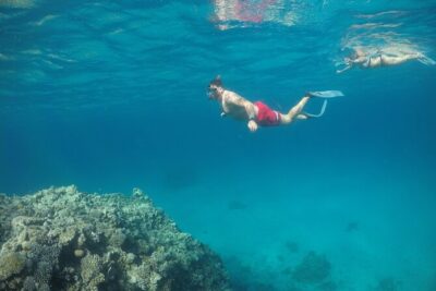 Snorkeling and Diving to Ras Mohamed And White Island by VIP Boat - Pickup to marina: how the day starts and what to expect at the dock