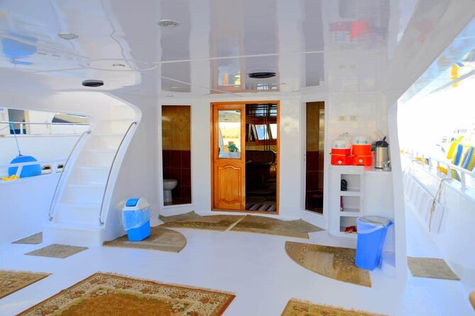 Snorkeling and Diving to Ras Mohamed And White Island by VIP Boat - Photos and souvenirs: what’s included (and what isn’t)