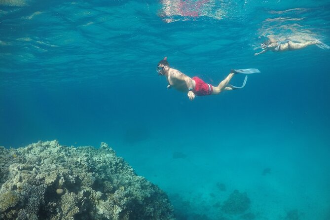 Snorkeling and Diving to Ras Mohamed And White Island by VIP Boat - Pickup to marina: how the day starts and what to expect at the dock