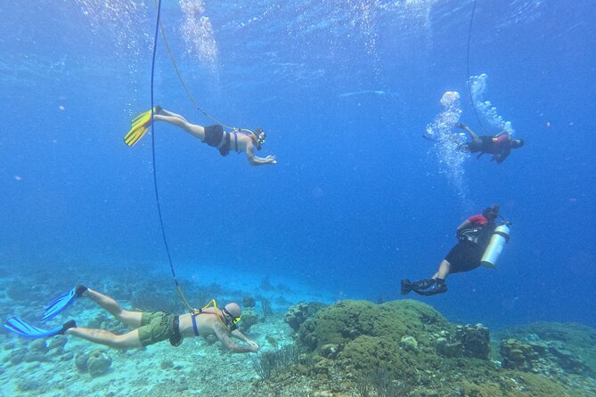 SNUBA Adventure in Curacao - Guided Shallow Dive - Key Things to Know Before You Go