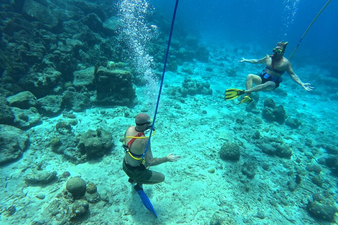 SNUBA Adventure in Curacao - Guided Shallow Dive - Coral Reefs and Marine Life Highlights You Can Expect