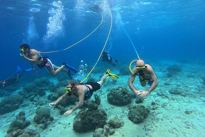 SNUBA Adventure in Curacao - Guided Shallow Dive - Meet the Guides: Miguel’s Patient Teaching and Pace Control