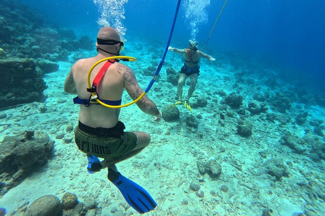 SNUBA Adventure in Curacao - Guided Shallow Dive - Price and Value: Is $135 Fair for SNUBA Curacao?