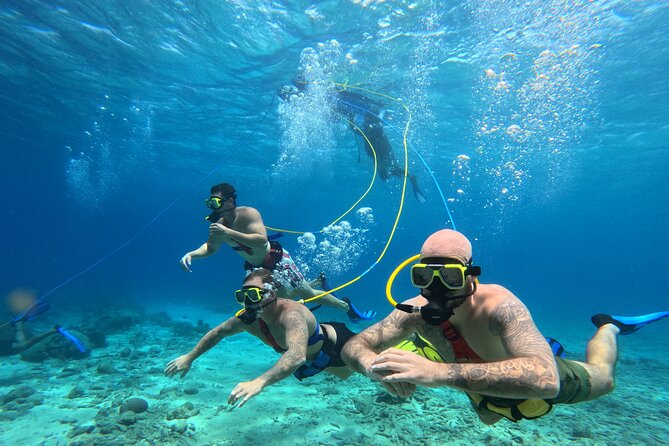 SNUBA Adventure in Curacao - Guided Shallow Dive - Logistics That Matter: Pickup, Mobile Tickets, and Small Groups