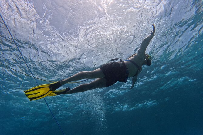 SNUBA Adventure in Curacao - Guided Shallow Dive - Who This Fits Best (and When to Choose the Helmet Option)