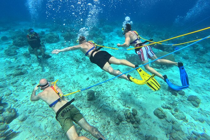 SNUBA Adventure in Curacao - Guided Shallow Dive - Gear and Air on a Raft (What It Feels Like)