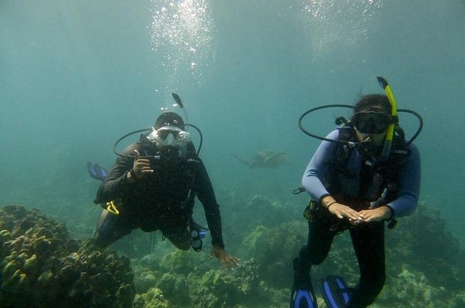 South Maui Discover Scuba Dive - Photos, Snacks, and the Comfort Details That Add Real Value