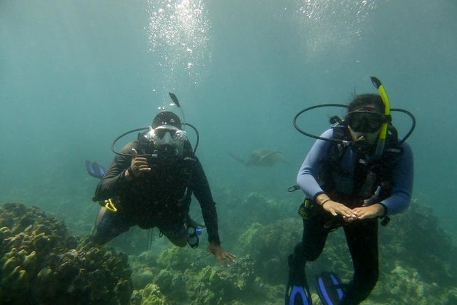 South Maui Discover Scuba Dive - 7:00 am Meeting at 5159 Makena Rd: What the 3-Hour Flow Feels Like