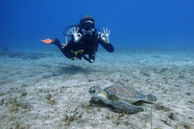 South of Tenerife : DSD Scuba Diving for beginners, Adeje - What You’ll Do, Step by Step (And Why It Works)