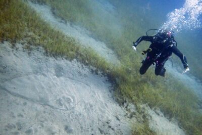 South of Tenerife : DSD Scuba Diving for beginners, Adeje - One Thing to Consider Before You Go