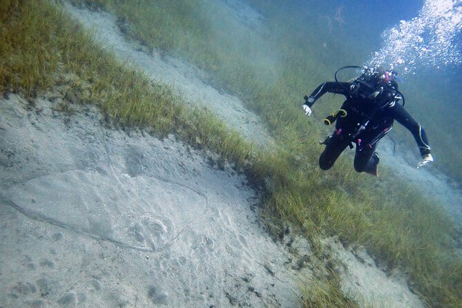 South of Tenerife : DSD Scuba Diving for beginners, Adeje - One Thing to Consider Before You Go