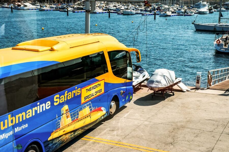Southern Tenerife: 50-Minute Submarine Dive - Southern Tenerife submarine views start with Amarilla Marina