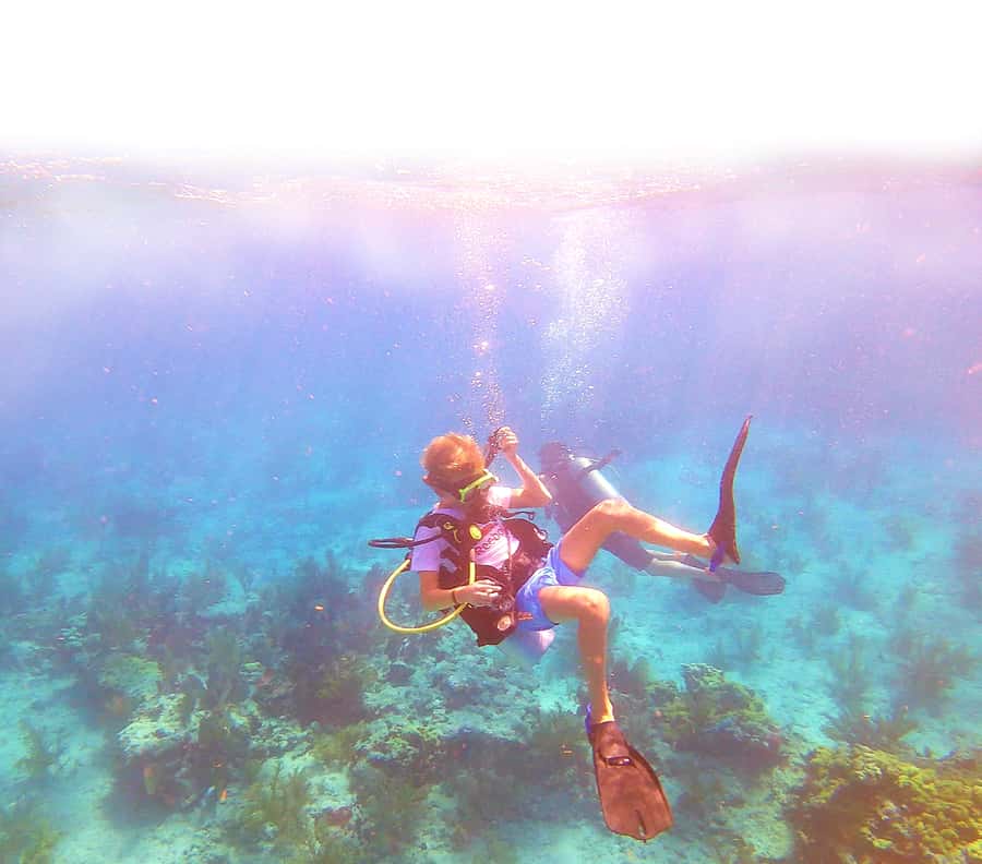 Southpoint Divers: Afternoon Reef Dive Trip - The Reef Plan: 25–35 ft, About an Hour Each, and Real Marine Life