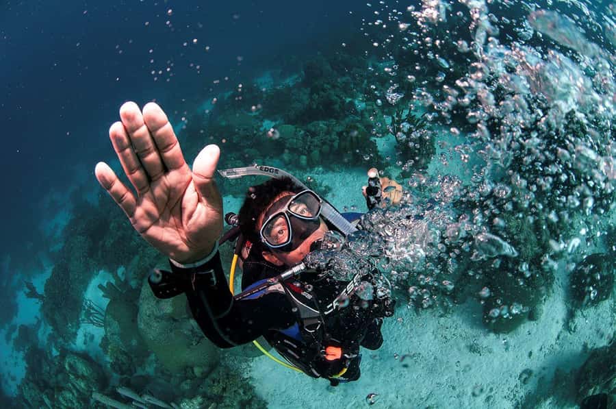Southpoint Divers: Afternoon Reef Dive Trip - Meeting at 606 Front St and Getting Out on the Water