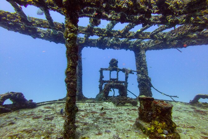 SPECIAL!! 2 Tank Wreck & Drift Reef dives - Should you book the 2 Tank Wreck & Drift Reef trip?
