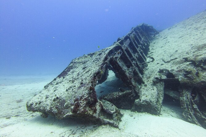 SPECIAL!! 2 Tank Wreck & Drift Reef dives - The C55 and C58 wrecks at ~80ft: what you’re actually exploring
