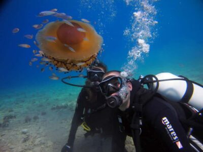 Split-Makarska-Brela Try SCUBA Dive - 150 Minutes Total, With 45+ Minutes Underwater
