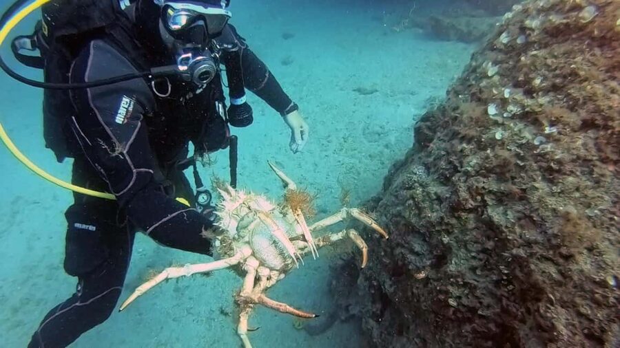 Split-Makarska-Brela Try SCUBA Dive - Safety and Comfort Considerations (Read This Part)