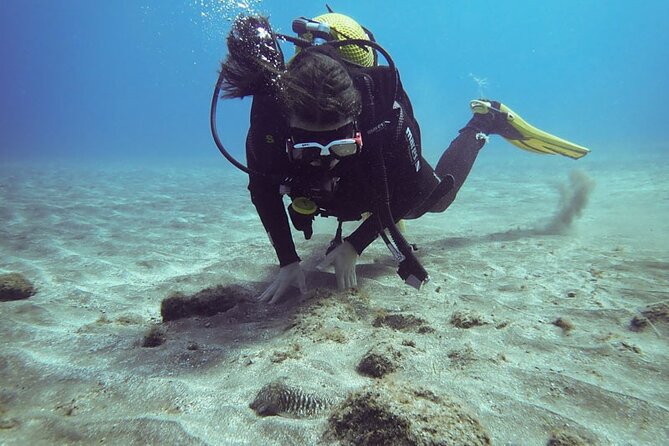 SSI basic diver In Tenerife - 2 Dives - Key points worth knowing