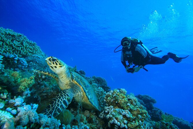 SSI | Padi Open Water Course in Phuket - Phuket’s 3-Day Open Water Course: What You’re Really Paying For